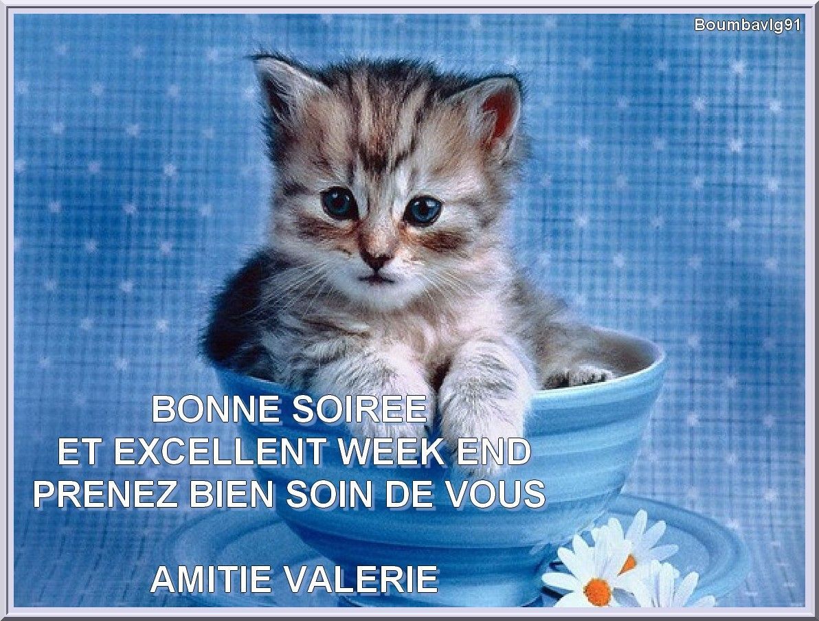 J'espère Que Vous Avez Passé Un Bon Week-end bon week end