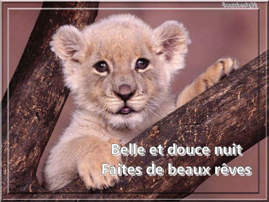 bonne nuit Page 4